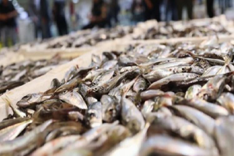 balıklar da artırımlardan nasibini aldı hangi balık nasıl pişirilir
