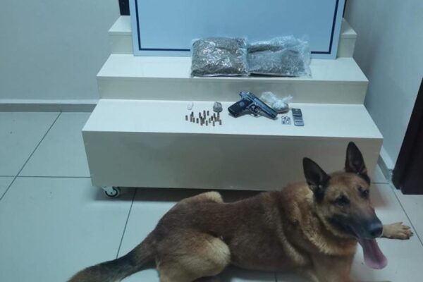 Bandırma’da Uyuşturucu Operasyonları