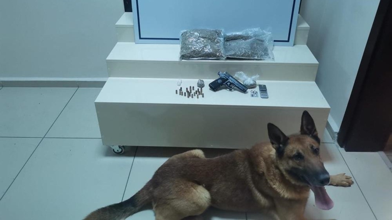 bandırmada uyuşturucu operasyonları