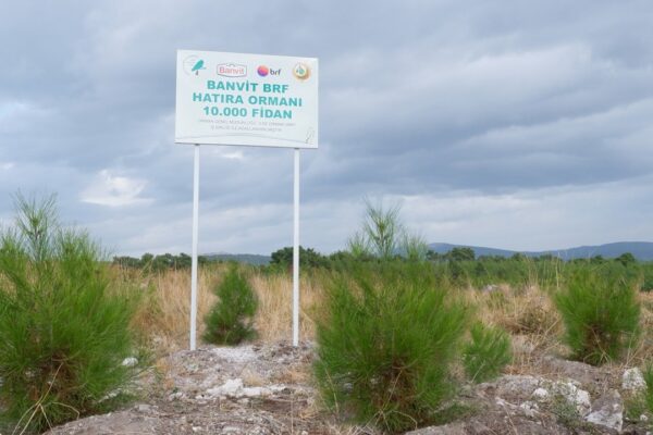 Banvit BRF Ormanları 50 Bin Ağaca Ev Sahipliği Yapıyor