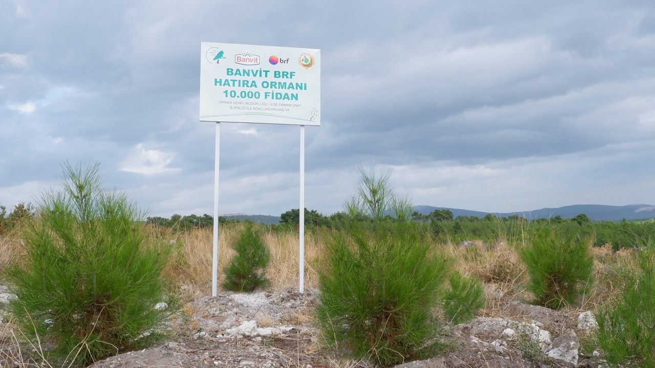 banvit brf ormanları 50 bin ağaca ev sahipliği yapıyor