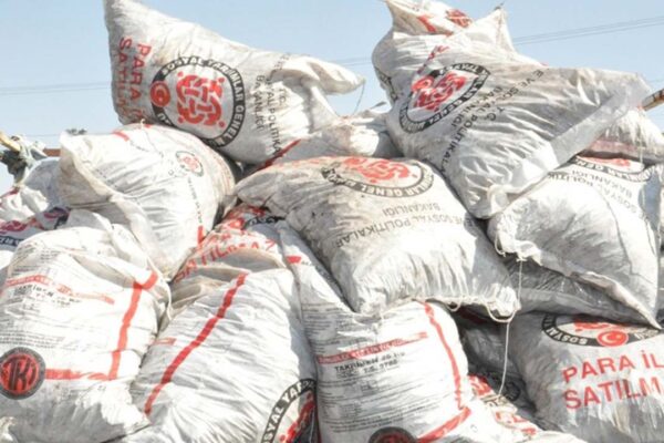 Belediyelerden Yoksul Ailelere Her Ay 1650 TL Odun ve Kömür Yardımı Veriliyor! İşte Yakacak Yardımı İçin Başvurular