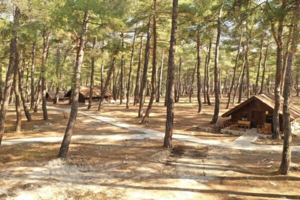 Beyce Doğal Yaşam ve Spor Merkezi Yılbaşında Tam Kapasite Çalışacak