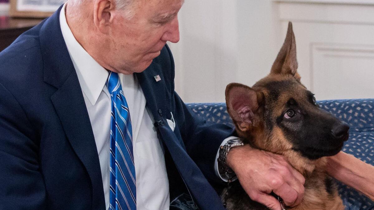 biden-4.jpg