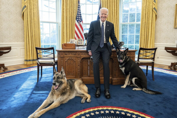 Biden’ın Köpeği 11 Kişiyi Isırdı! Beyaz Saray’dan Gönderildi