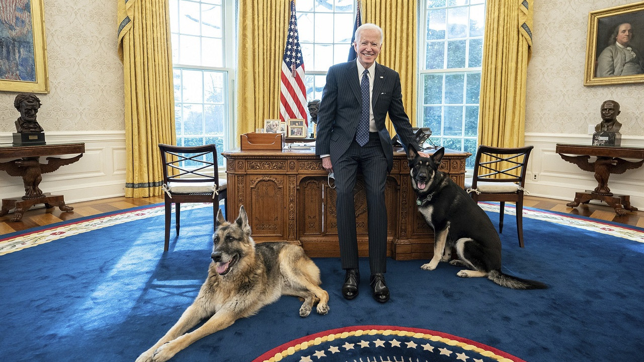 bidenın köpeği 11 kişiyi isırdı beyaz saraydan gönderildi