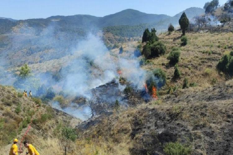 bilecik abbaslıkta orman yangını denetim altında