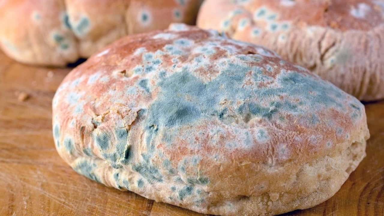 bilecik hastanesinde dağıtılan küflü ekmek olayı İçin soruşturma başlatıldı