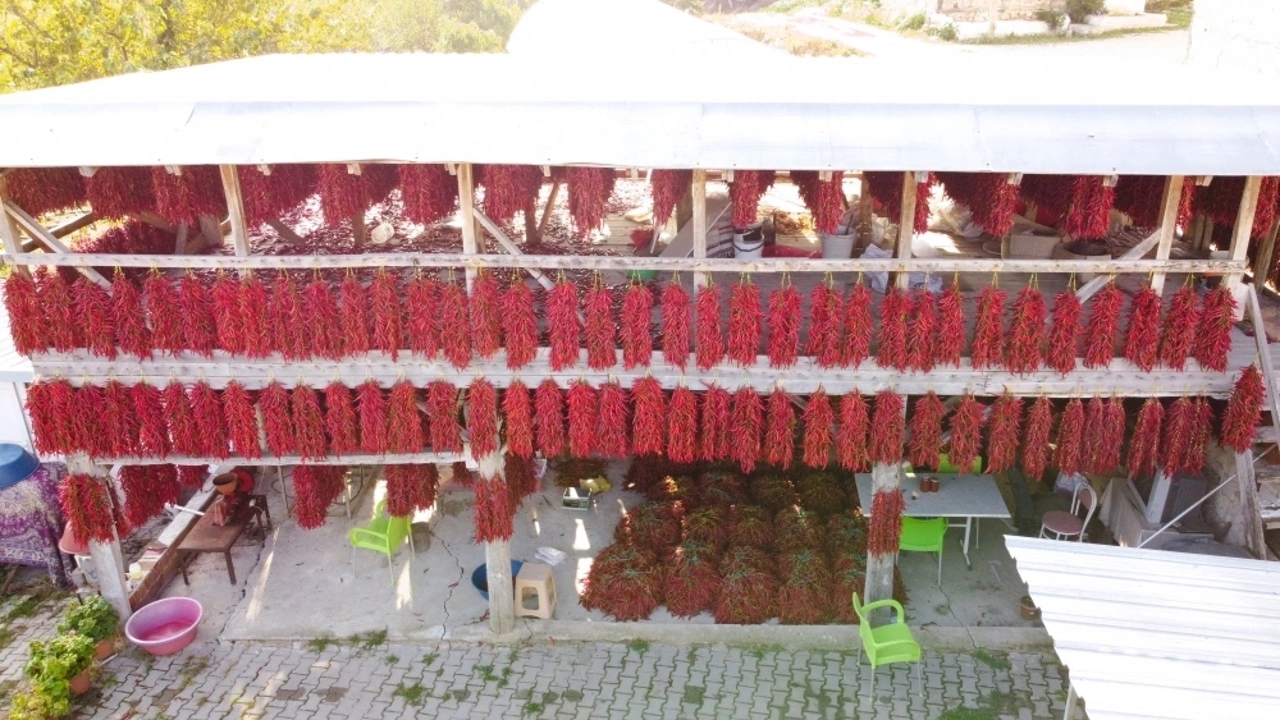 bilecik kooperatifi Özel biberle acının en tatlı halini yaratıyor