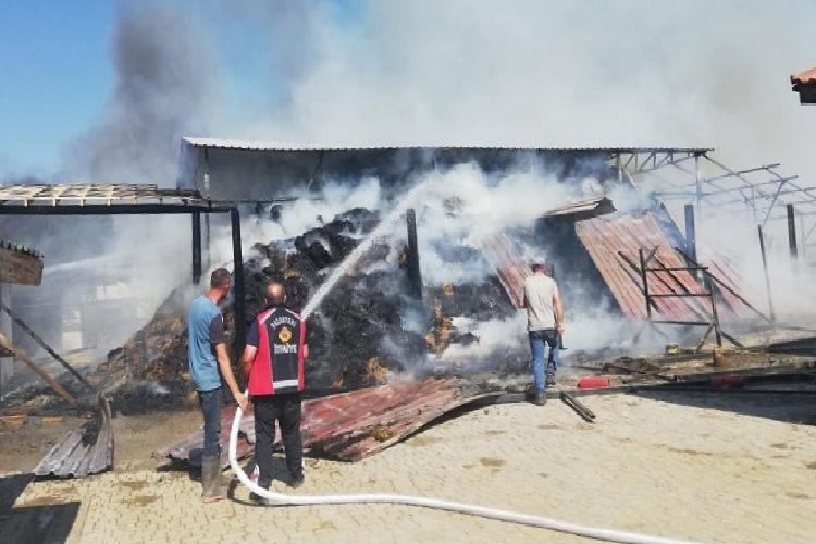 bilecikte at çiftliğinde büyük yangın