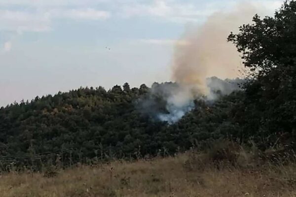 Bilecik’teki Orman Yangını İtfaiye Ve Köylülerin Müdahalesiyle Kontrol Altına Alındı