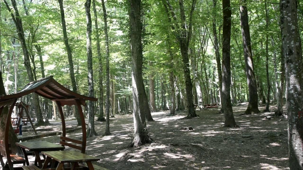 bir ormanlık alana giriş yasağıda o İlimizden