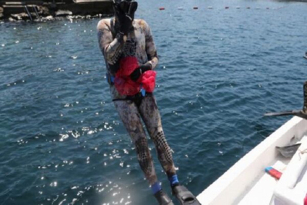 Bodrum’un tabanları şaşırtmaya devam ediyor!