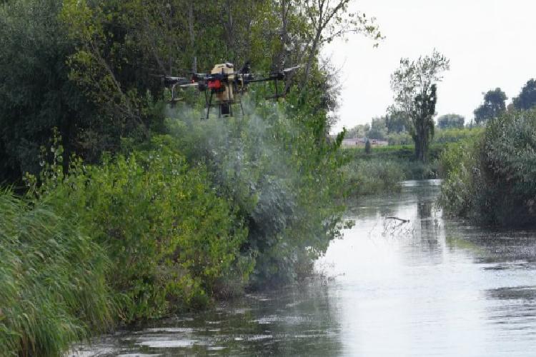 bursada drone ile sinek avı