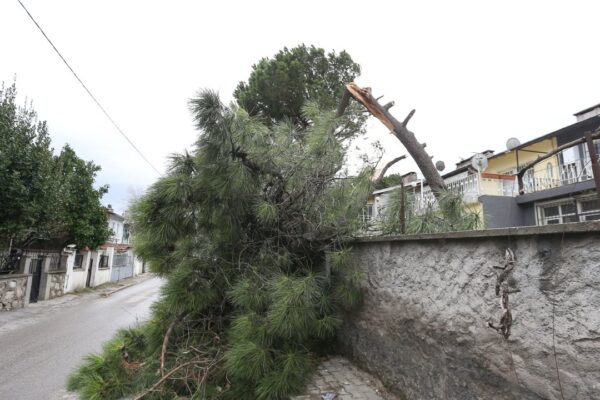 Bursa’da Etkili Olan Lodosun Hızı Saatte 100 Kilometreye Yaklaştı
