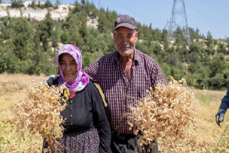 büyükşehirden toprağa rahmet takviyesi