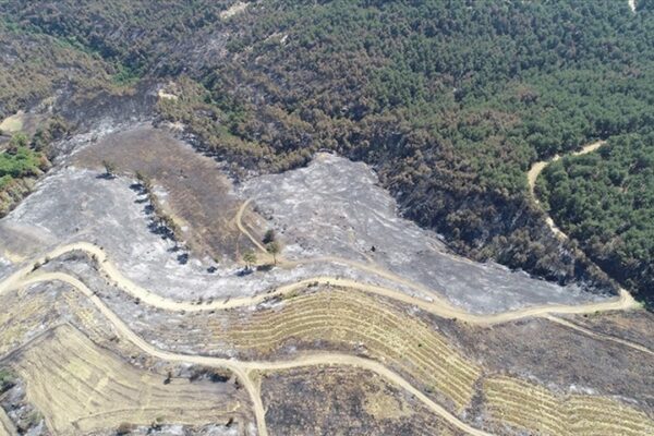 Çanakkale Yangınında 2,8 Hektar Alanın Zarar Gördü Belirlendi
