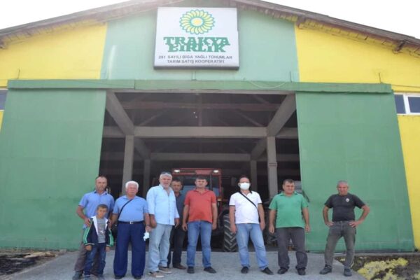 Çanakkale’nin Biga İlçesinde Ayçiçeği Alımları Başladı