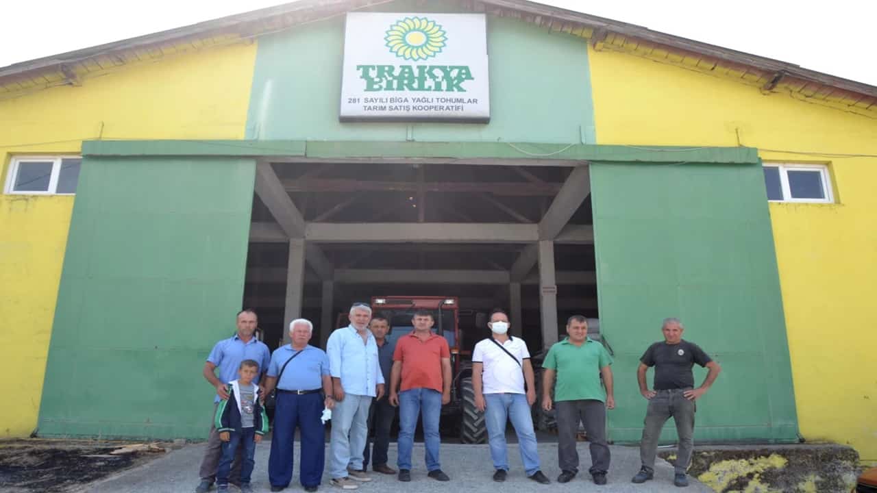 Çanakkalenin biga İlçesinde ayçiçeği alımları başladı