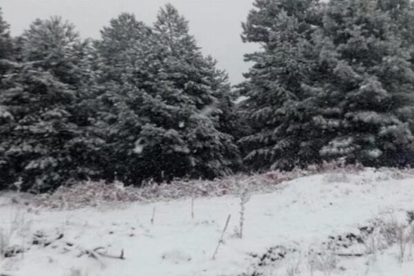 Çanakkale’ye Yılın İlk Karı Düştü