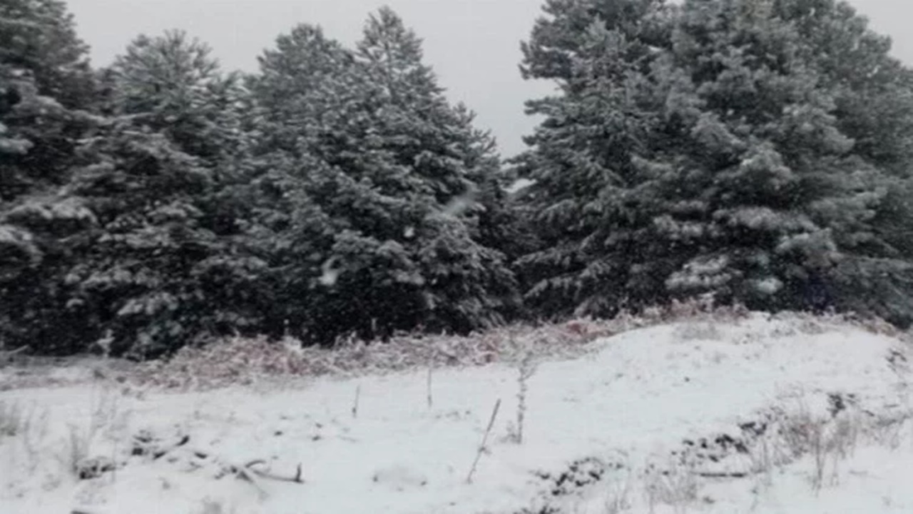 Çanakkaleye yılın İlk karı düştü