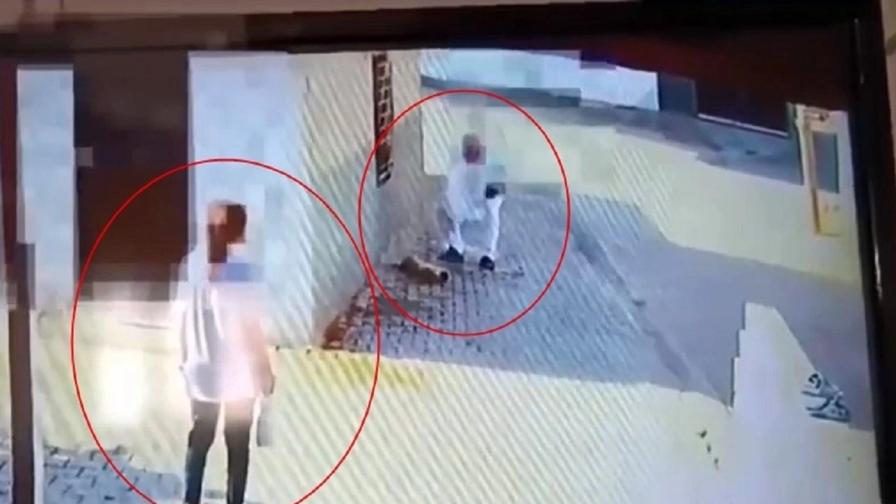 canilikte son nokta demir Çubuk İle döverek Öldürdü