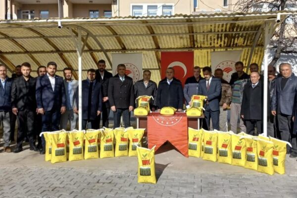 Çiftçilere Yonca Tohumu Dağıtıldı