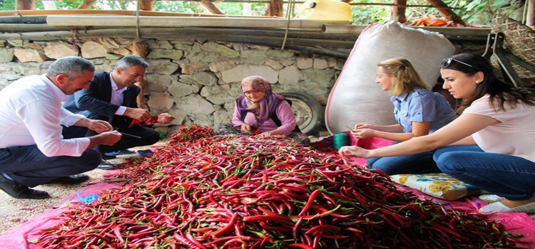 senlik-duzenlendi2.jpg