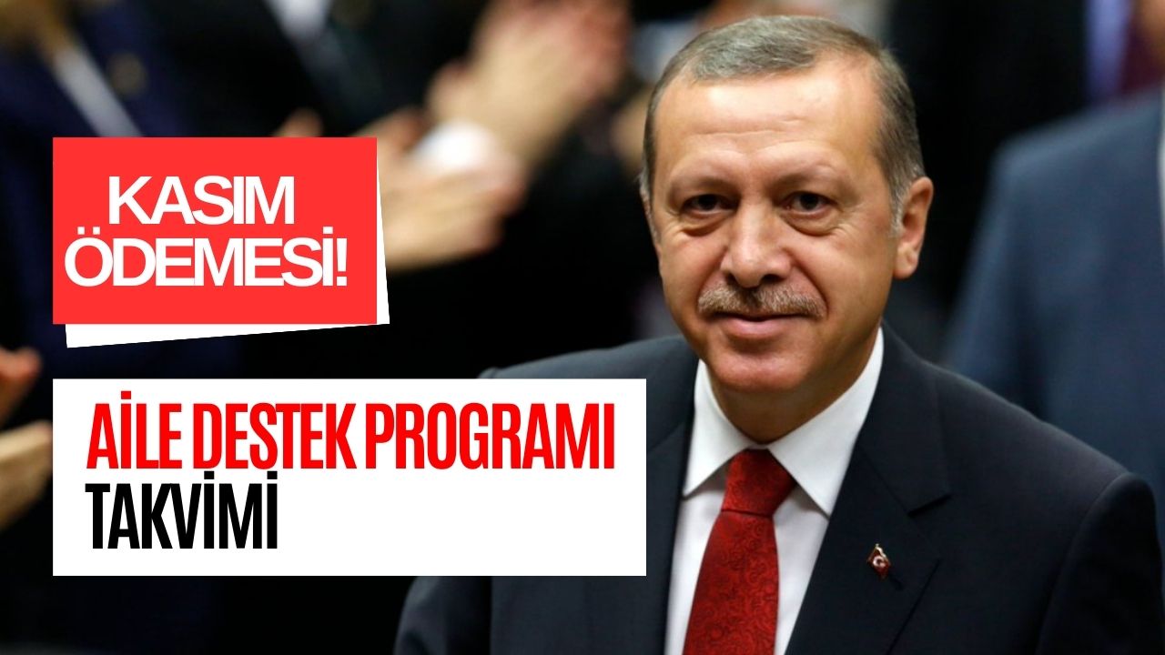 cumhurbaşkanı netleştirdi aile destek programı kasım ayı Ödemeleri