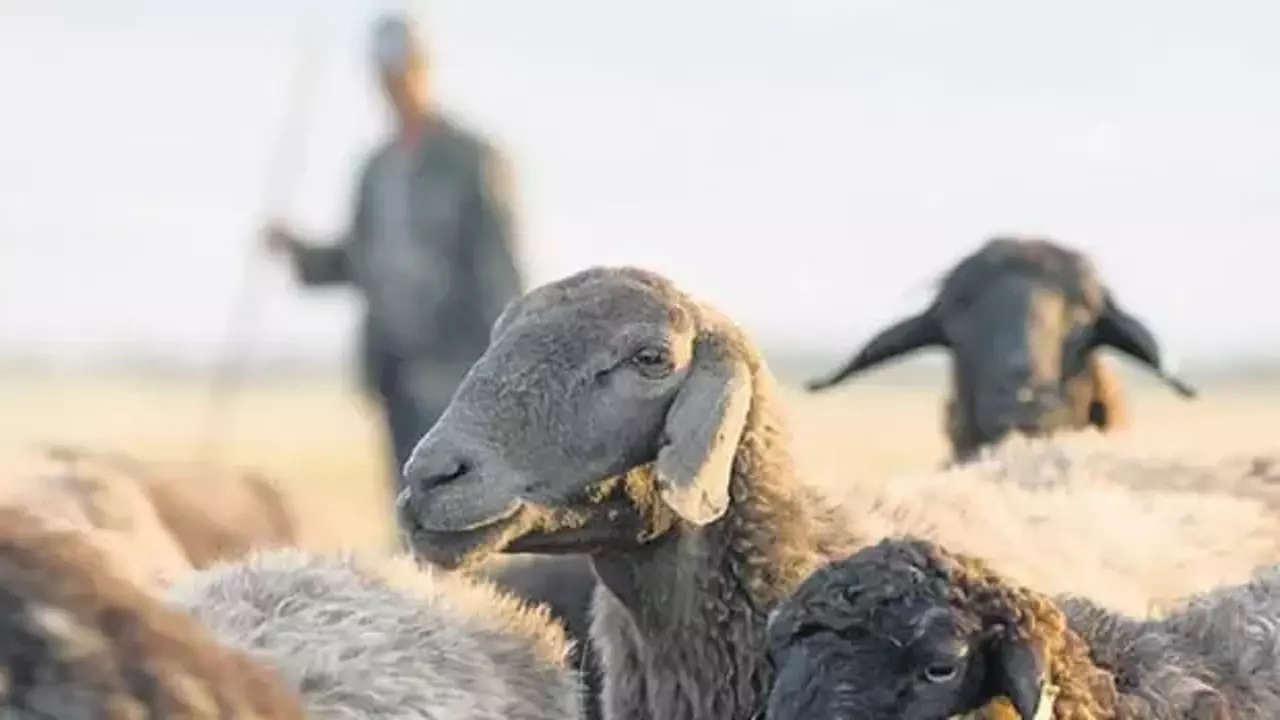 cumhurbaşkanlığı kararı ile tarımsal desteklemeler yenilendi