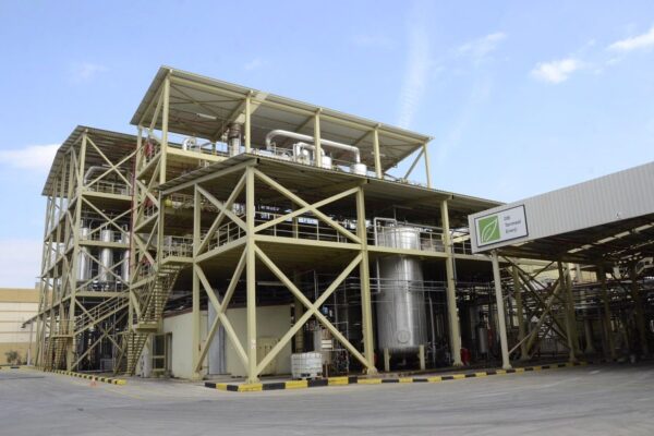 DB Tarımsal Enerji Açıkladı: Birleşmiş Milletler Küresel İlkeler…