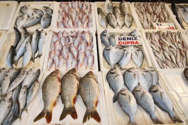 Denizlerdeki Bolluk Balık Fiyatlarını Düşürdü
