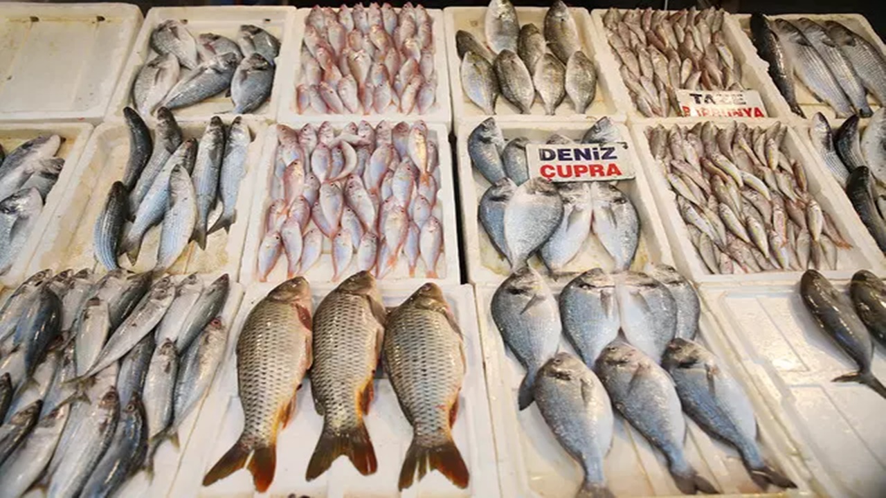 denizlerdeki bolluk balık fiyatlarını düşürdü