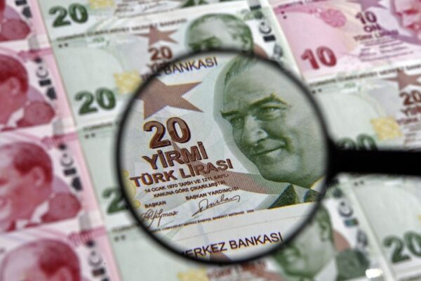 Dün Akşam 6’da Hesaplara Destek Parası Yattı! TC NO’su 0,2,4,6,8 ile Biten Herkes e-Devlet’e Baksın