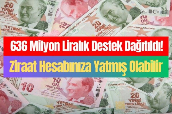 Dün Saat 18’de Tüm Hak Sahiplerine Para Yattı! TC No’su 2-4-6-8-0 ile Bitenler Ziraat Hesaplarını Kontrol Etsin
