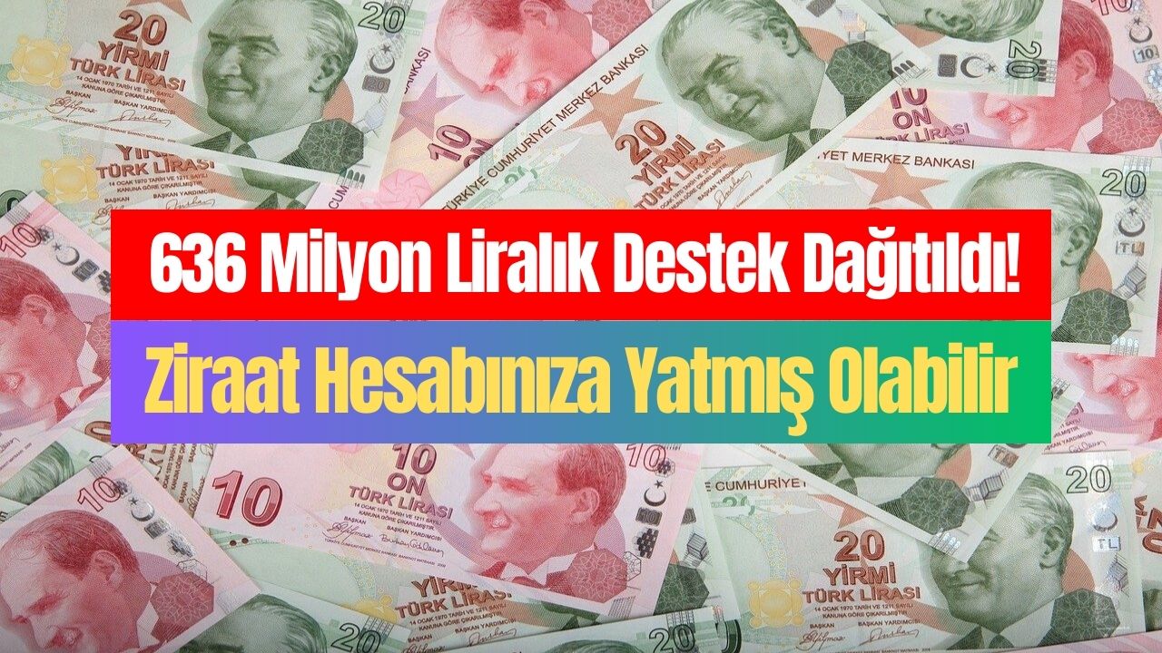 dün saat 18de tüm hak sahiplerine para yattı tc nosu 2-4-6-8-0 ile bitenler ziraat hesaplarını kontrol etsin