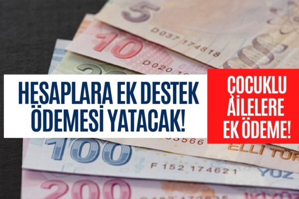 e-Devlet’ten Kontrol Edin Bu Destek Herkese Veriliyor! Bakanlık Bu Ay 875 Lira Destek Parası Yatırcak!