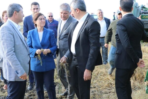 Edirne Valisi Yunus Sezer İpsala’da Çeltik Hasadına Katıldı