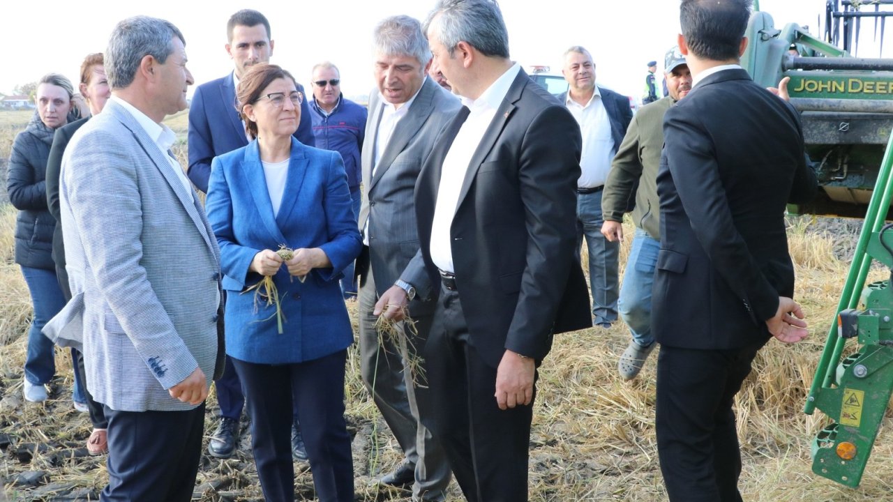 edirne valisi yunus sezer İpsalada Çeltik hasadına katıldı