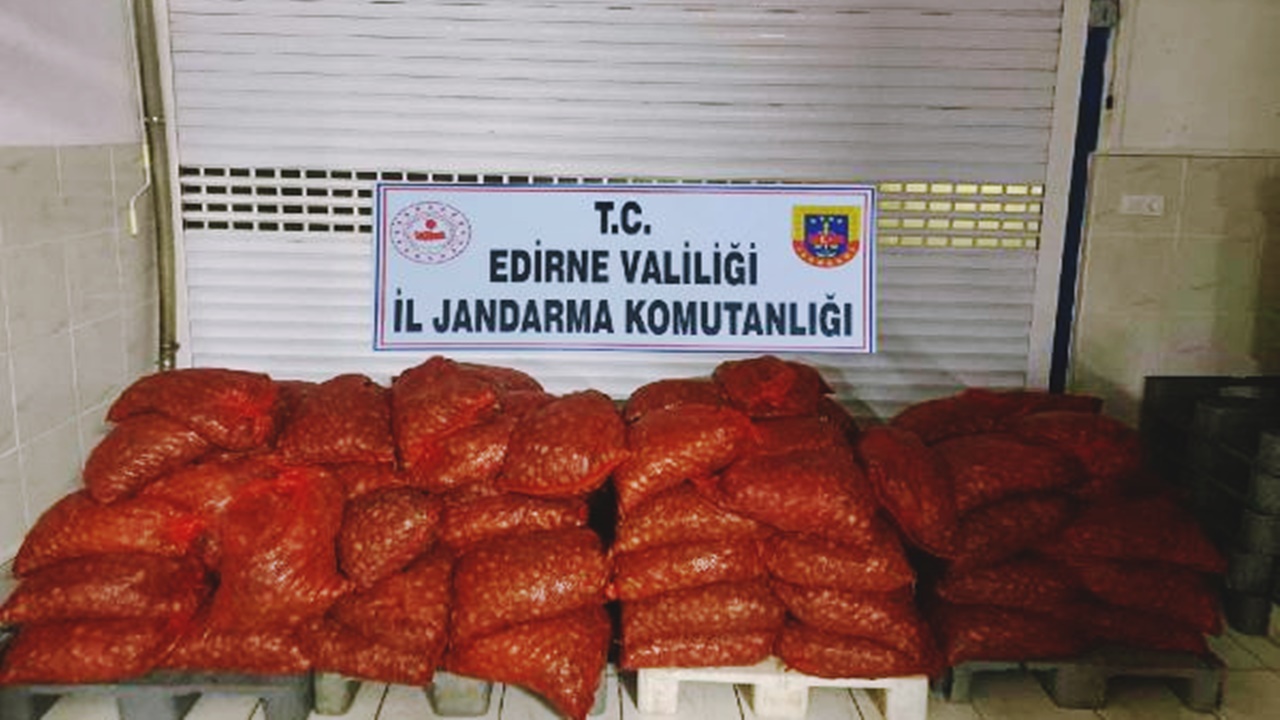edirnede 1 ton 662 kilo kum midyesi el koyuldu