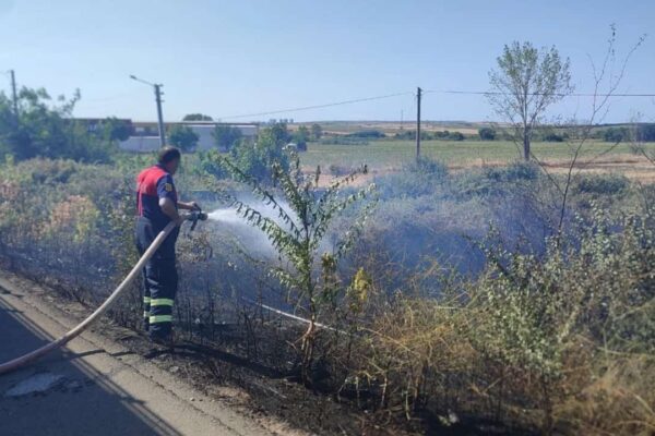 Edirne’de Çıkan Anız Yangını Söndürüldü