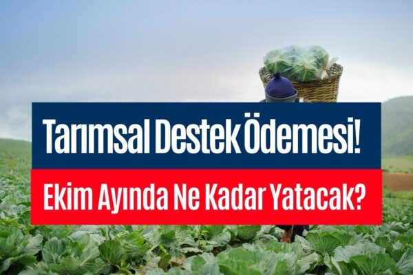 Ekim 2023 Tarımsal Destek Ödemesi! Ziraat Hesaplarına Ne Zaman Yatacak?