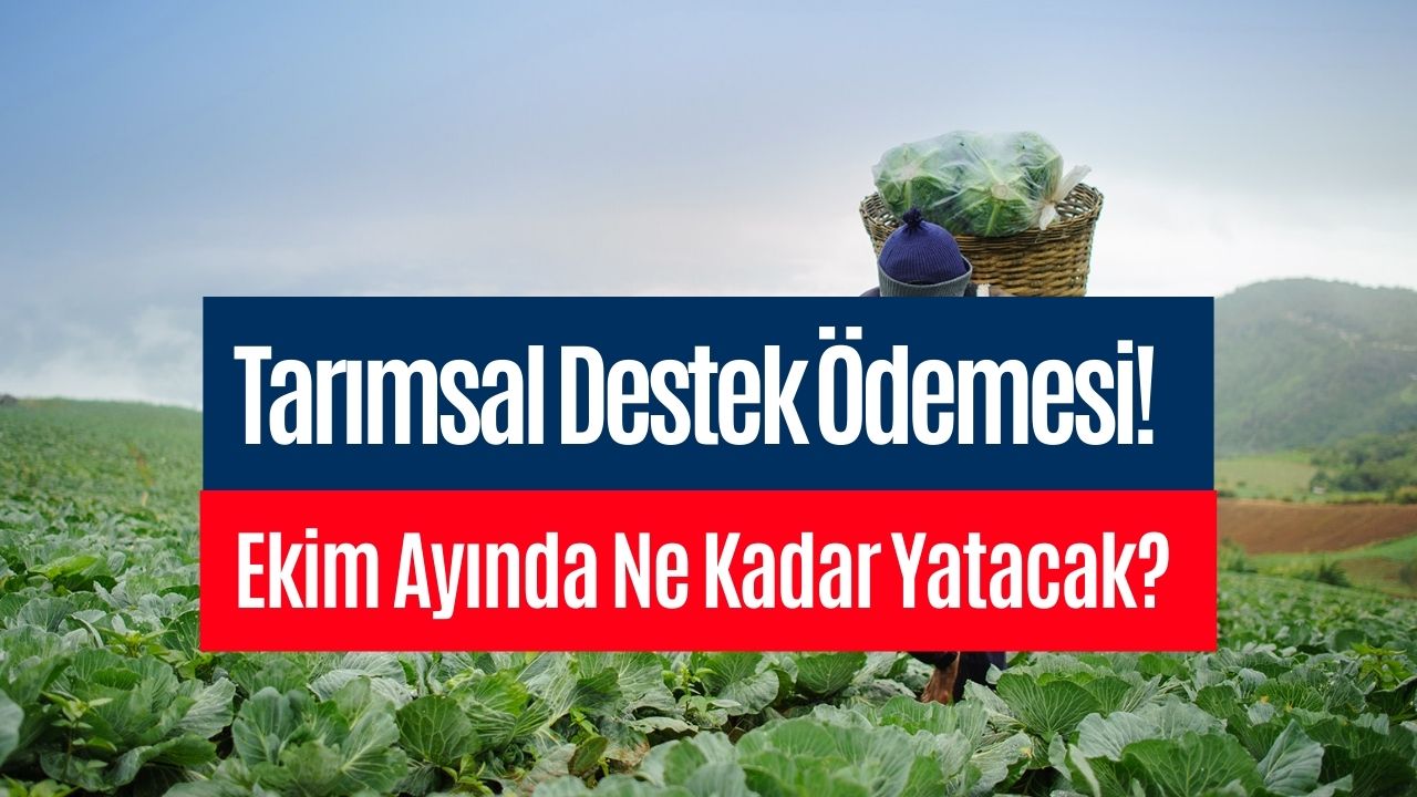 ekim 2023 tarımsal destek Ödemesi ziraat hesaplarına ne zaman yatacak