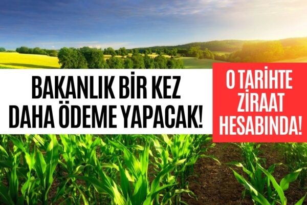 Ekim Ayı Dördüncü Tarımsal Destek Ödemesi Tarihi! Tarım Bakanlığı Ödeme Yapacak