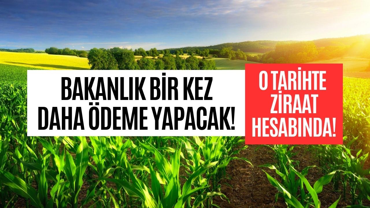 ekim ayı dördüncü tarımsal destek Ödemesi tarihi tarım bakanlığı Ödeme yapacak