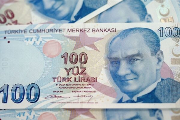 Ekim Ayı SED Ödemesi Tarihi! SED Yardımı Sorgulama Ekranı