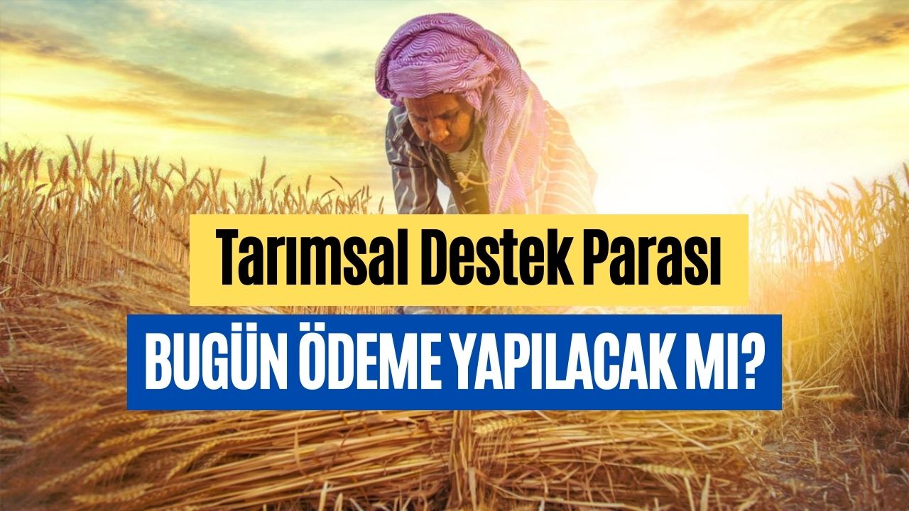 ekim ayının Üçüncü tarımsal destek Ödemesi bugün o saatte ziraat hesaplarınızı kontrol edin
