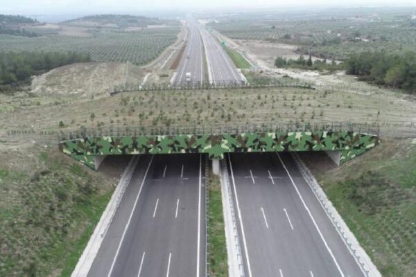 ‘Ekolojik Köprü’ler yaygınlaşıyor