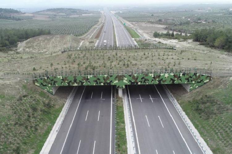 ekolojik köprüler yaygınlaşıyor