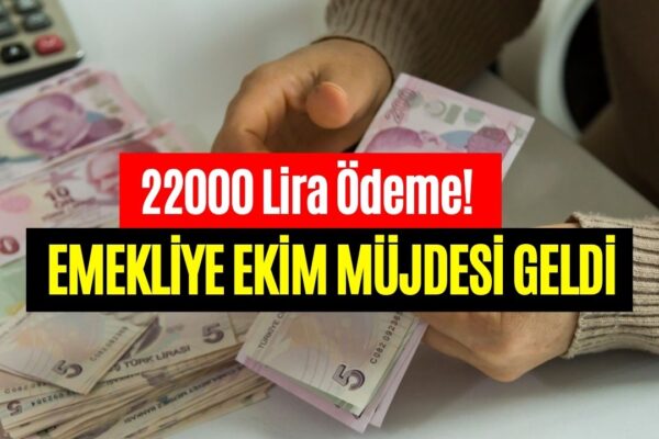 Emekliye 22000 Lira Ek Ödeme Netleşti! 31 Ekim’e Kadar IBAN’lara Yatacak